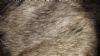 fake fur faux fur artificial fur high pile fur